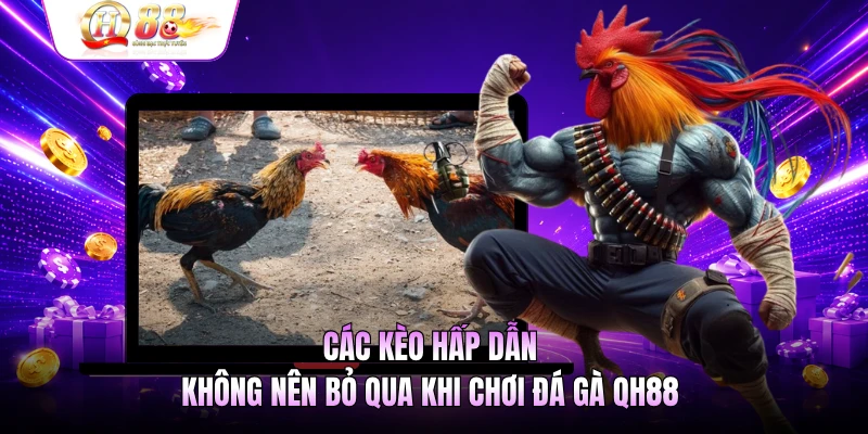 Các kèo hấp dẫn không nên bỏ qua khi chơi đá gà QH88