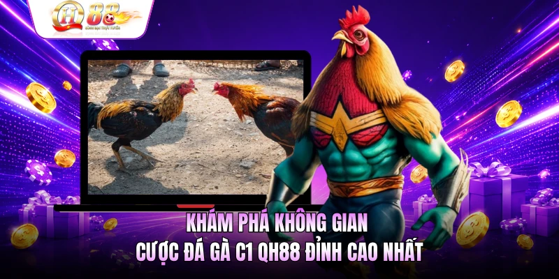 Khám phá không gian cược đá gà C1 QH88 đỉnh cao nhất