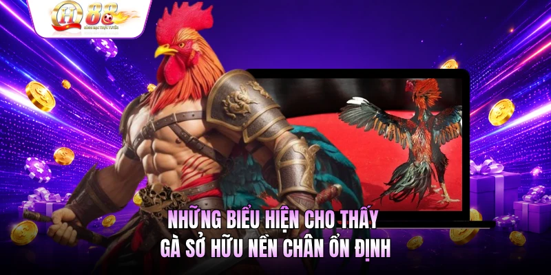 Những biểu hiện cho thấy gà sở hữu nền chân ổn định