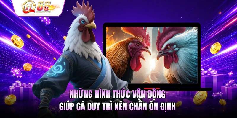 Những hình thức vận động giúp gà duy trì nền chân ổn định