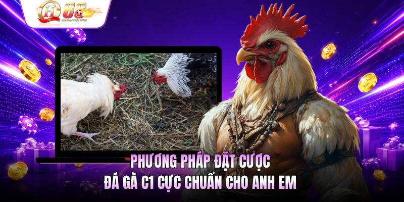 Phương pháp đặt cược đá gà C1 cực chuẩn cho anh em