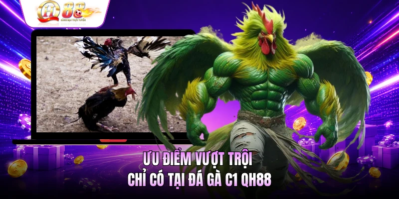 Ưu điểm vượt trội chỉ có tại đá gà C1 QH88